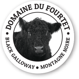 Domaine du Fourtet